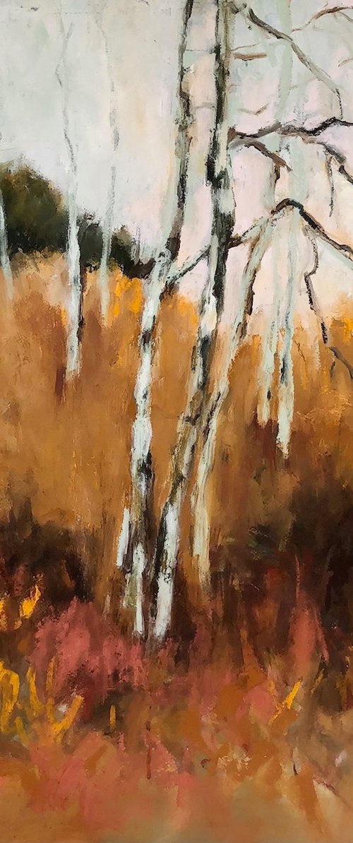 Spindly Birches by Joanna Farrow