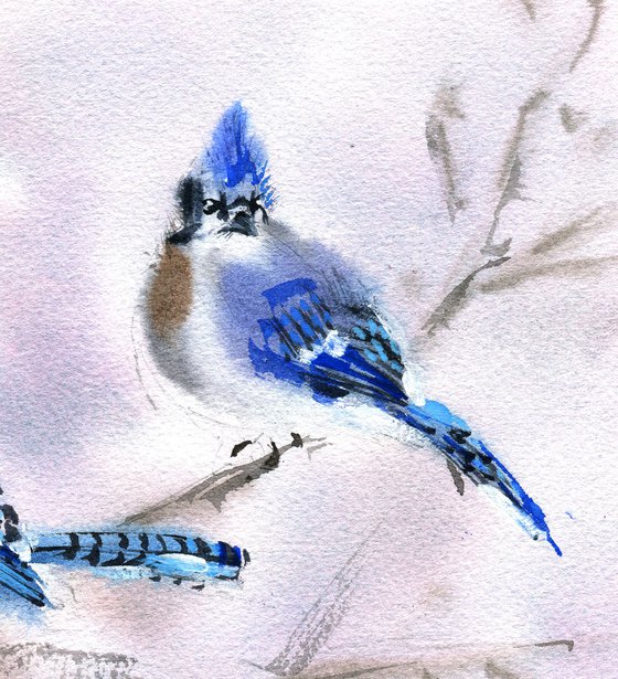 Blue jays original watercolour painting with blue birds on branch, farmhouse painting decor for home gift idea