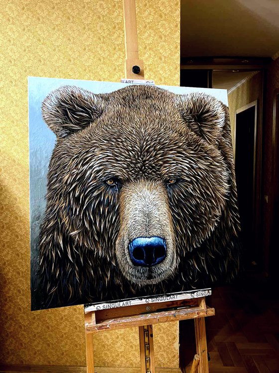 Brown Bear - wild life / wild animal / animalism