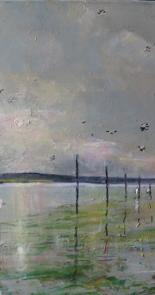 Holy Island, Feb 21 by Malcolm Ludvigsen
