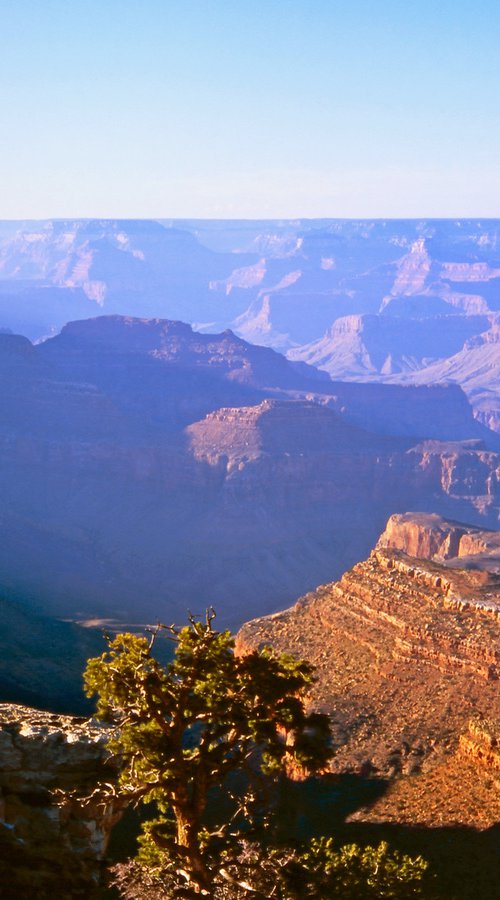 Grand View Point by Alex Cassels