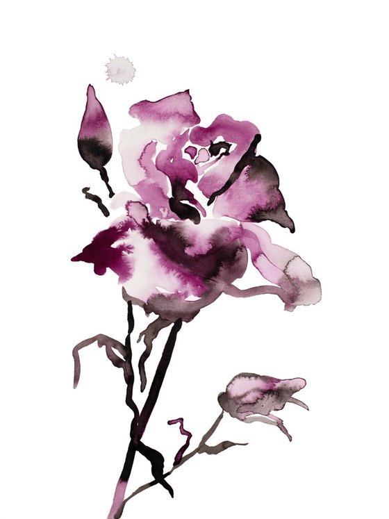 Rose Study No. 65