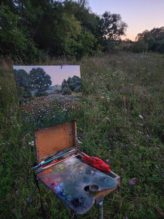 The Twilight Meadow