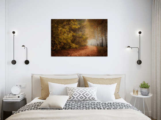 Autumn Calm III — Silent Path