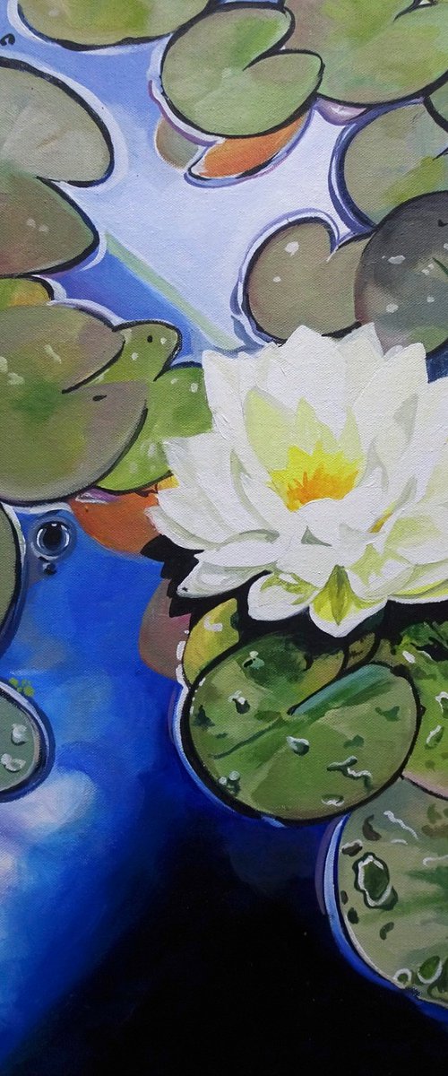 Water Lily InThe Summer Sun by Joseph Lynch