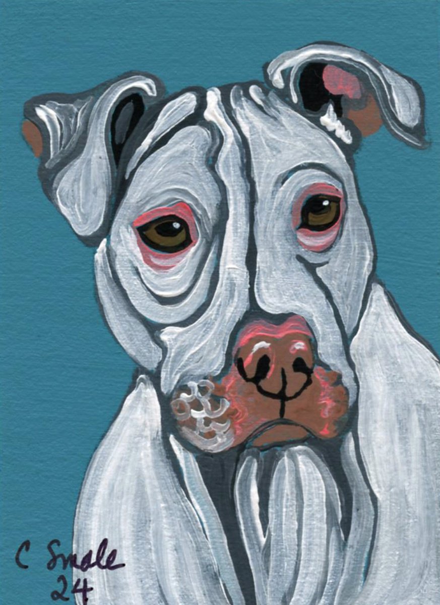 White Pitbull by Carla Smale