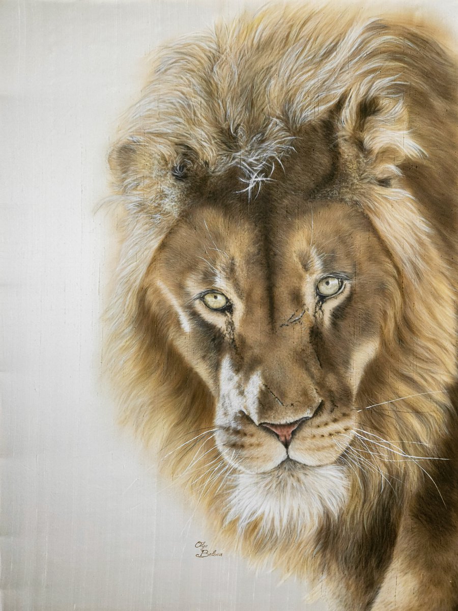 Photorealistic Animal Painting By Olga Belova, 20 X 26", Lion, Original Artwork