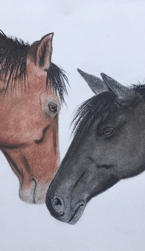 Horse friendship by Ruth Searle