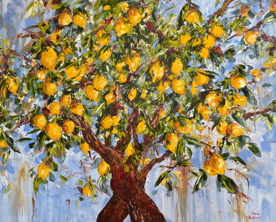 Lemon Tree