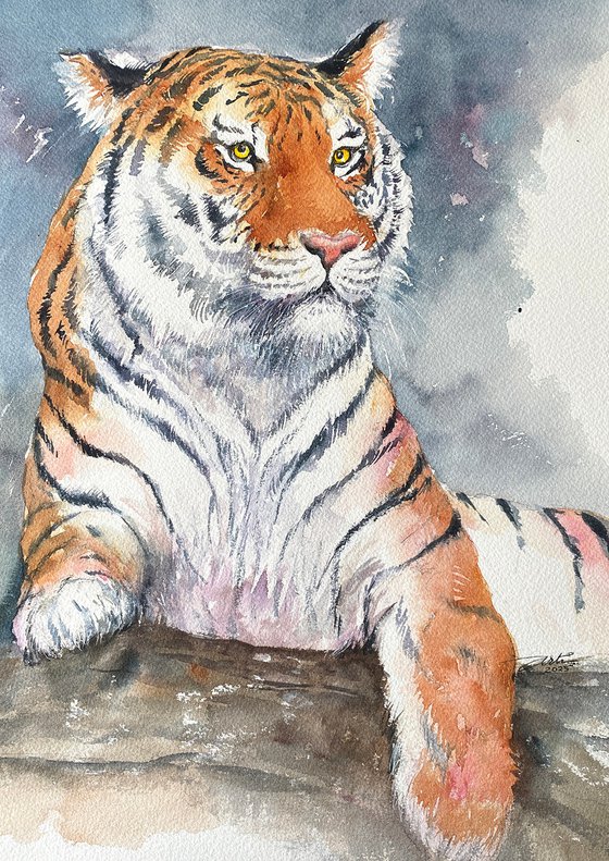 Bengal Majesty-Tiger