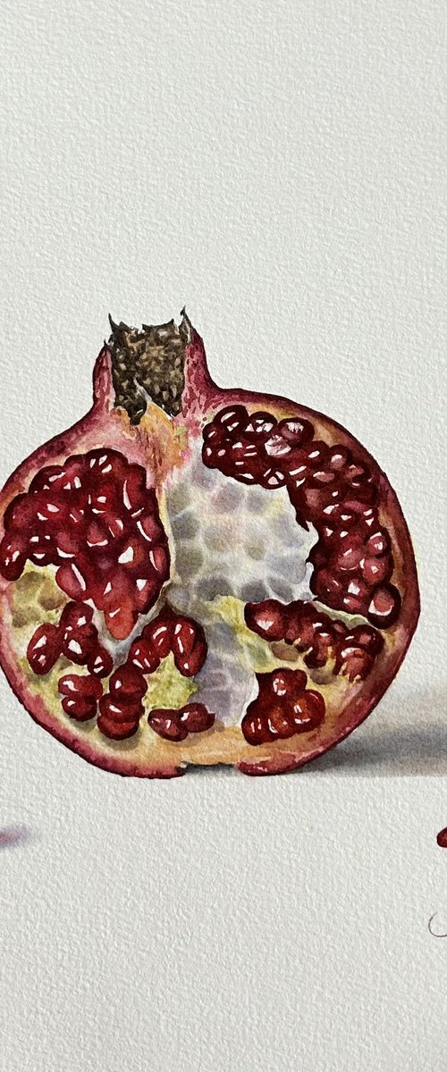 Pomegranate study by Alina Karpova