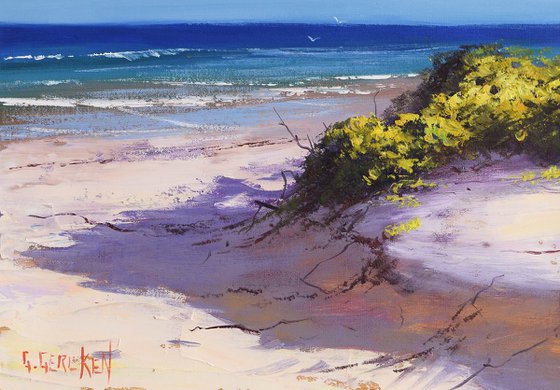 Sunny Day Central Coast beach Australia