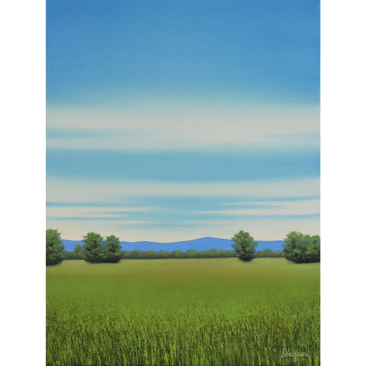 Impressionistic Landscape Oil Painting By Suzanne Vaughan, 12 X 16", Summer Grasses - Blue Sky Landscape, Original Artwork