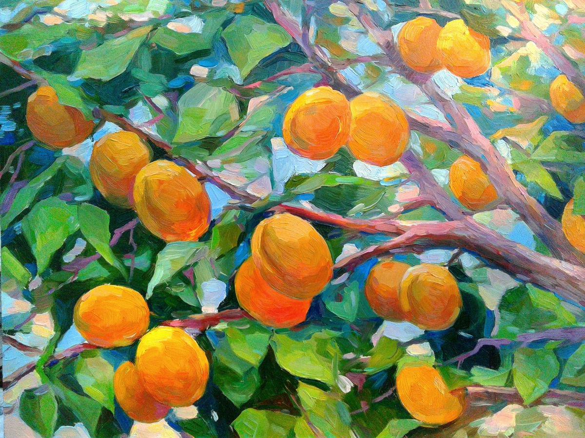 Apricots by Vladimir Lutsevich