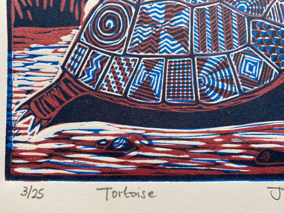 Tortoise 3/25