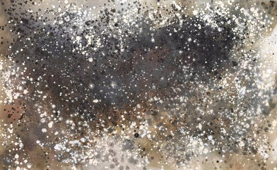 Lichen