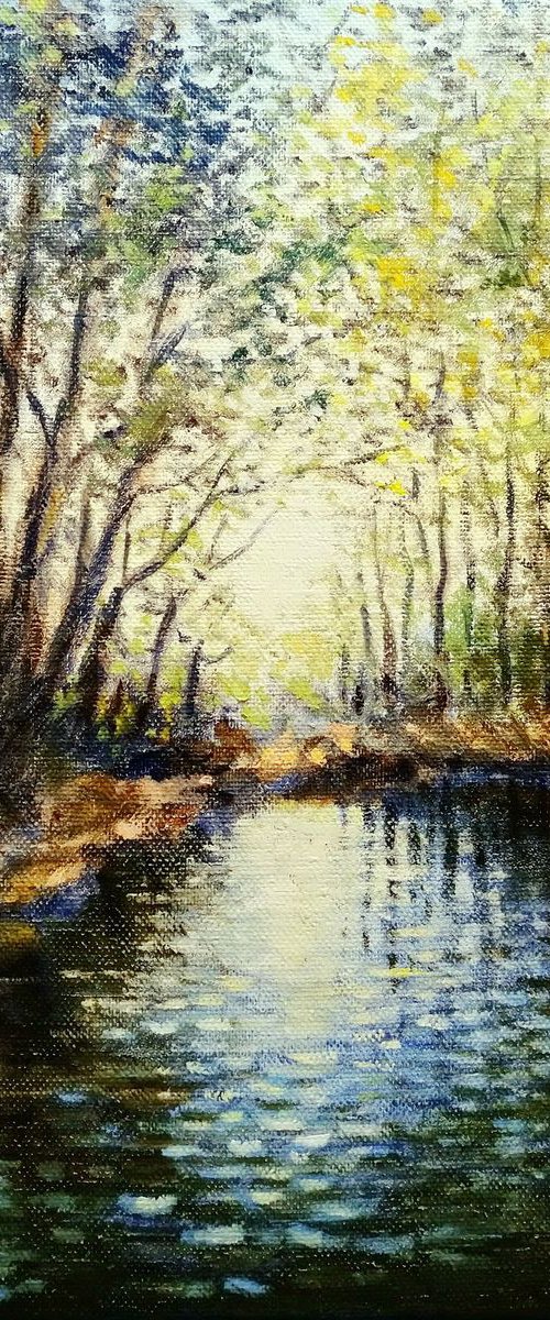 River in the forest by Oleh Rak