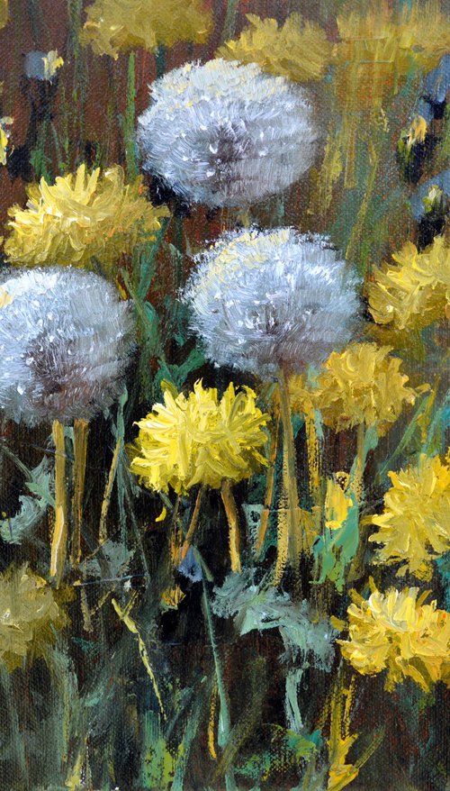 Dandelions in the meadow by Elena Lukina