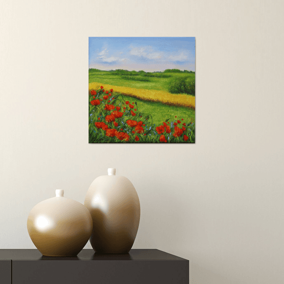 Red poppies field