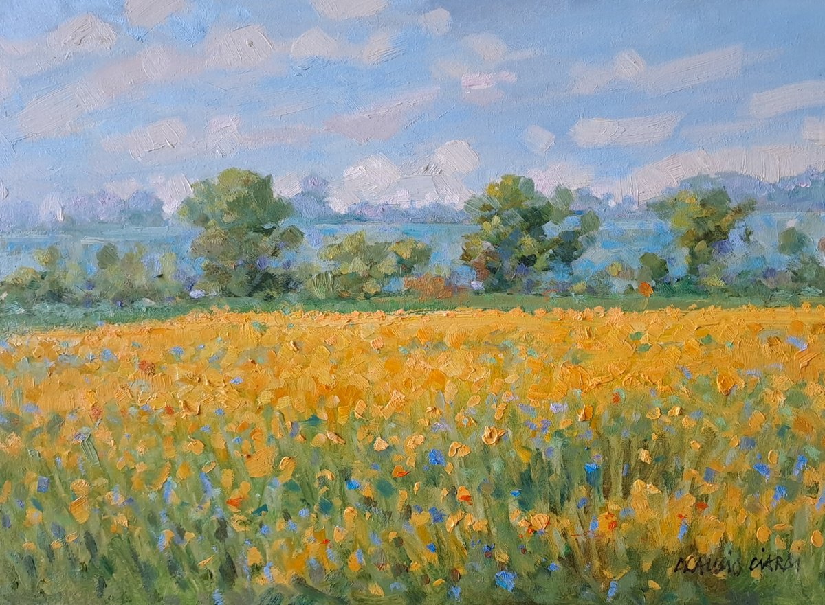 Impressionistic Landscape Oil Painting By Claudio Ciardi, 14 X 10, Field Of Flowers In Tuscany, Original Artwork
