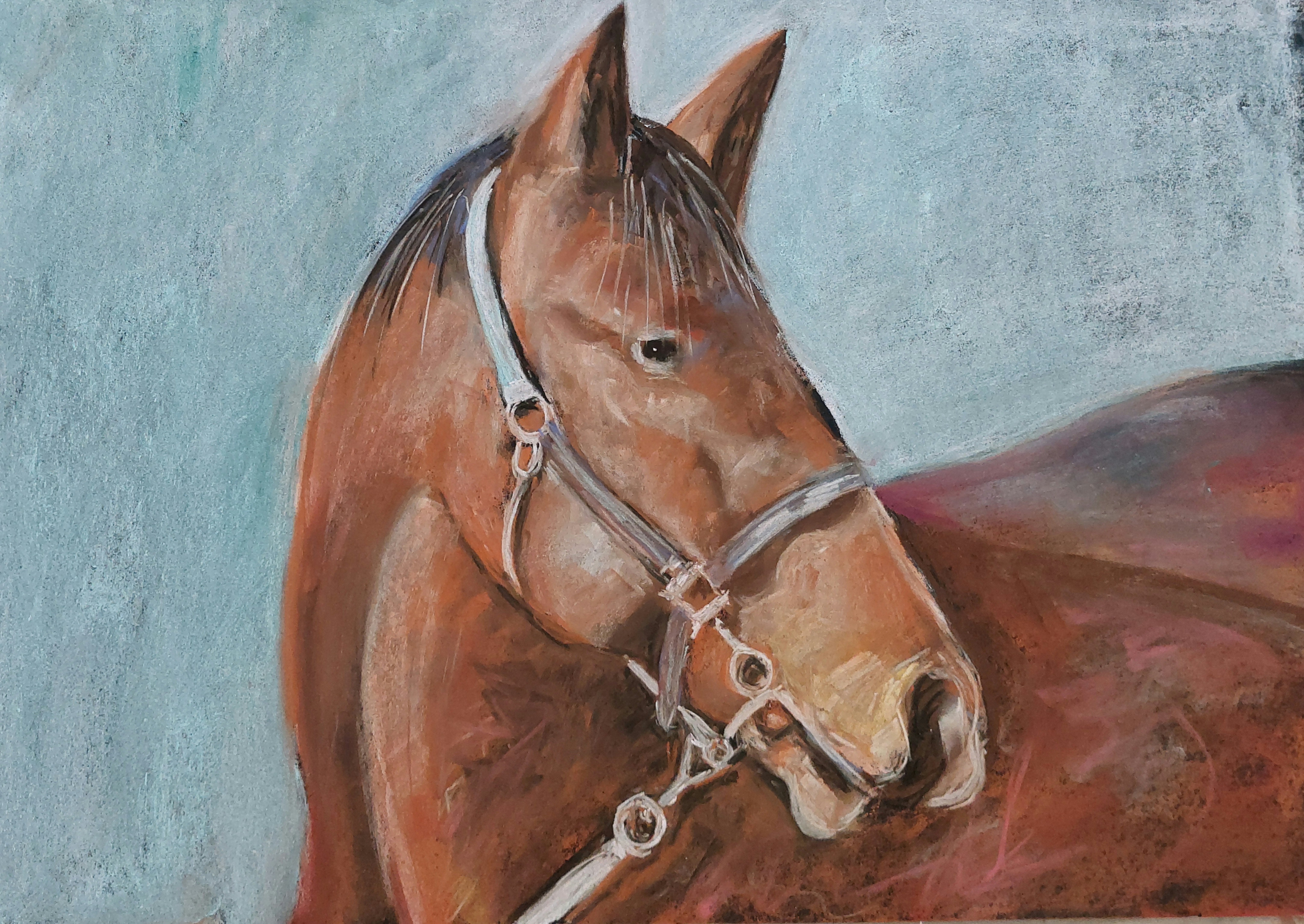 Impressionistic Animal Pastel Drawing By Els Driesen, 20 X 14, Horse Portrait, Original Artwork