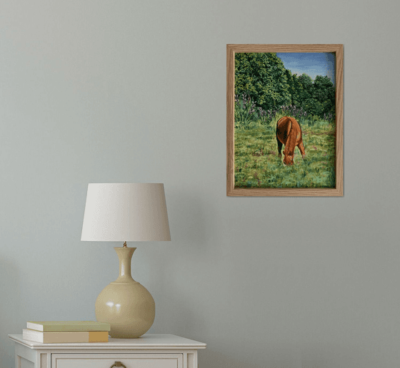 Horse in the field.