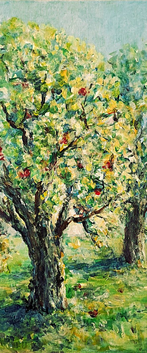 Apple tree by Arturas Slapsys