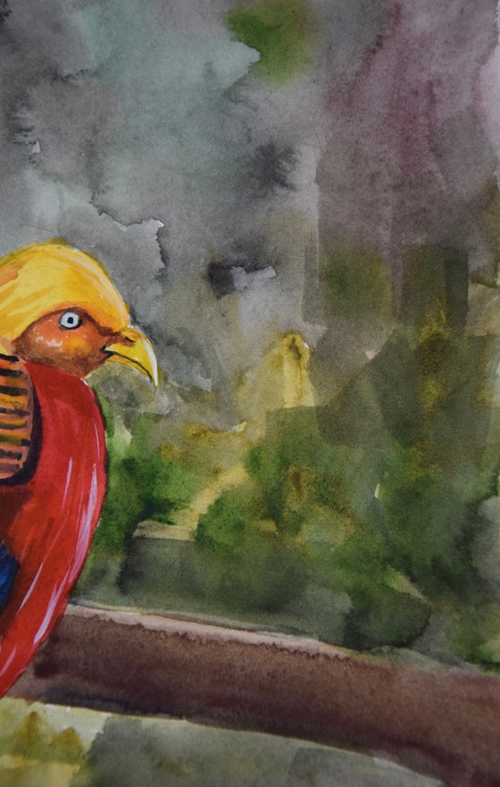 Golden Pheasant Watercolor Painting, Bird Original Artwork, Colorful Wall Art, Slovak Picture, Boho Home Decor