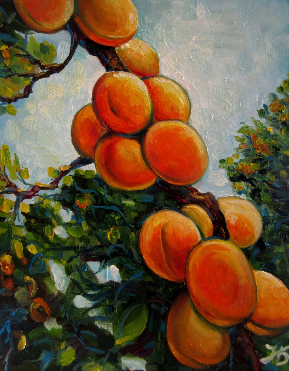 Apricots in the garden by Nadia Bykova