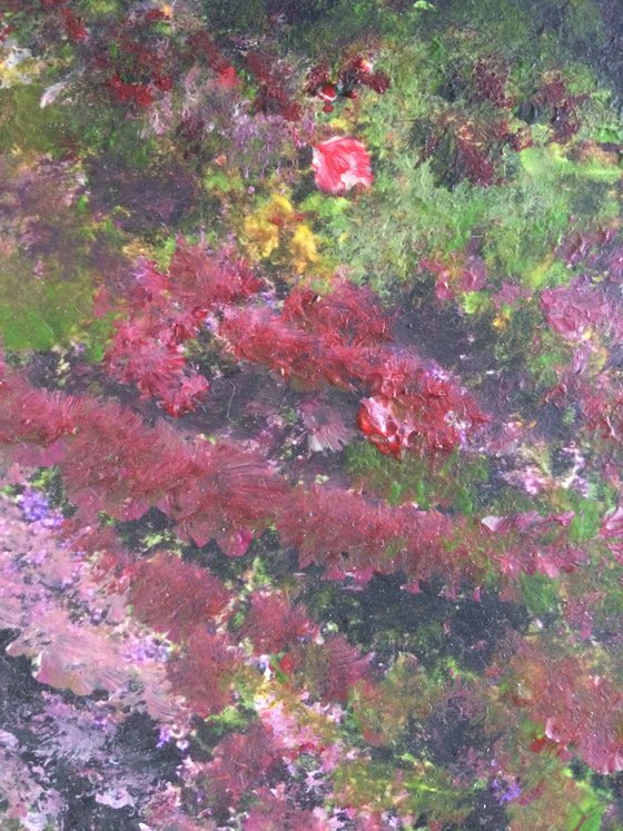 Flowers in Princes Street Gardens