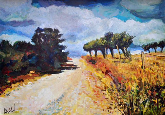 Autumn Road with Olive Trees in Alentejo