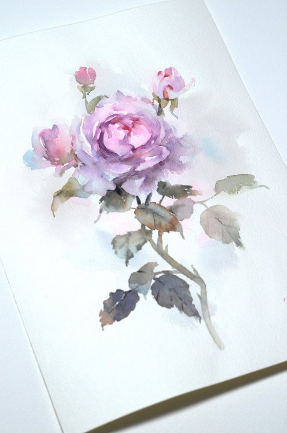 Watercolor rose with buds