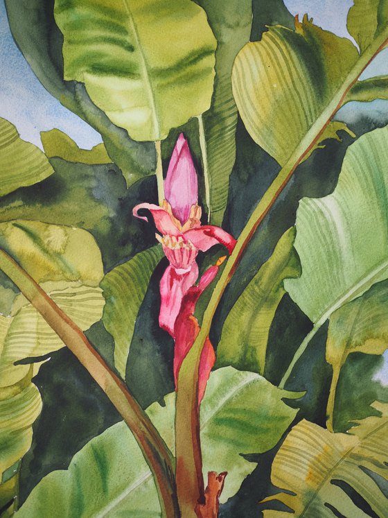 Banana blossom and palms - original tropical watercolor