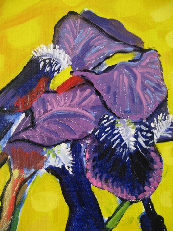 Irises (2)