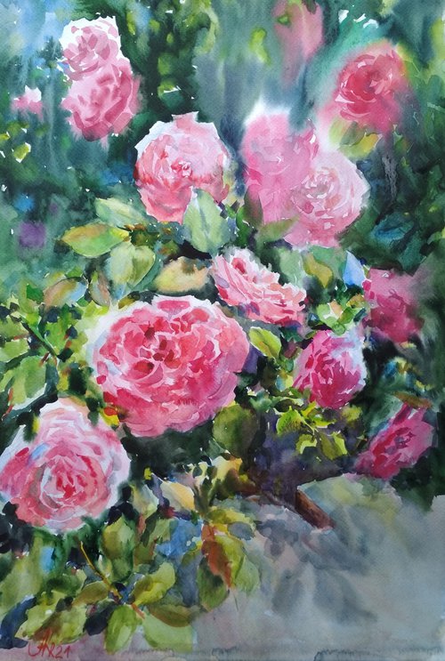The scent of roses by Ann Krasikova