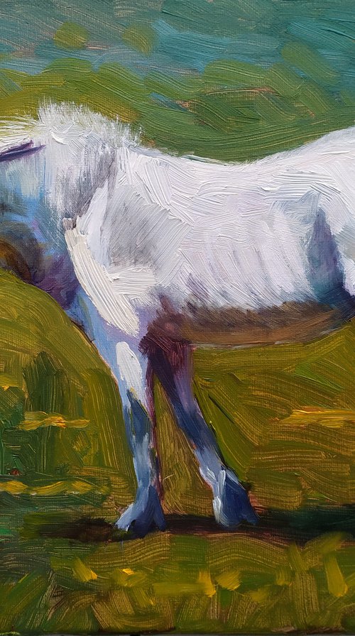 White horse by Elena Sokolova
