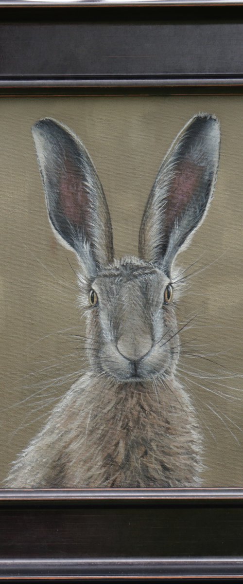 Portrait of a Hare I by Alex Jabore