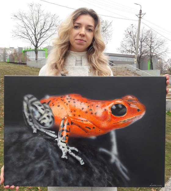 bright orange frog art, poisonous frog realism, hyperrealism painting, realistic painting on canvas, animal painting