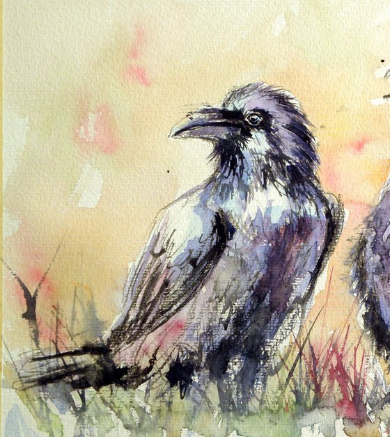 Ravens