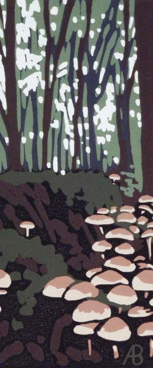 Stoke Wood Mushrooms by Alexandra Buckle