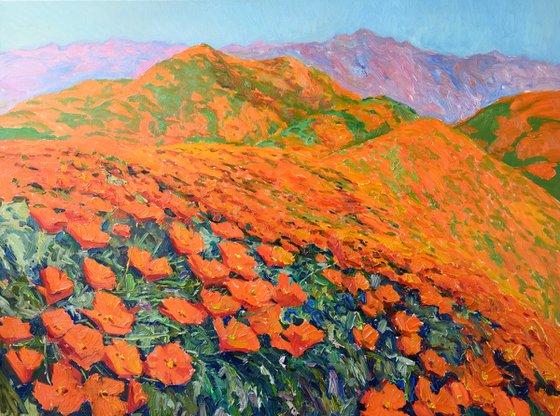 California Poppies on the Mountains