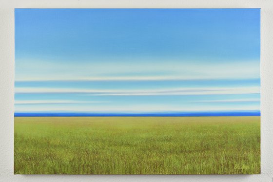 Lush Field - Blue Sky Landscape