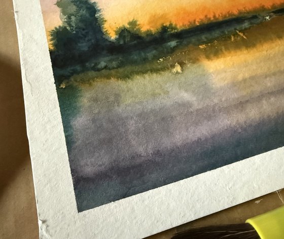 Swamp sunset
