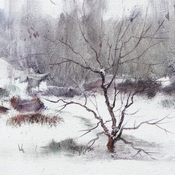 Winter contrast