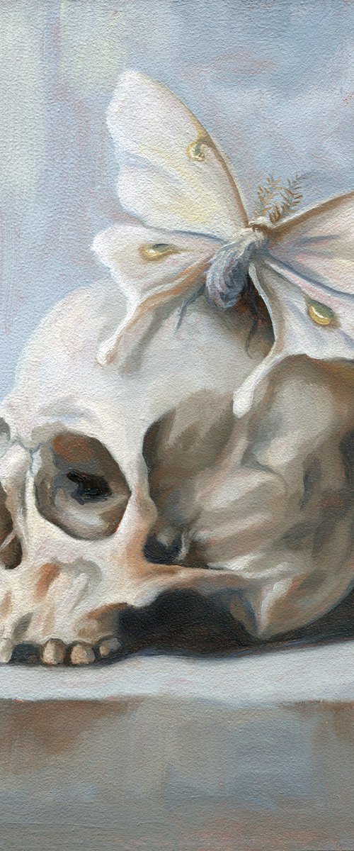 Moth and Bone: Study on White by Rebecca Magar