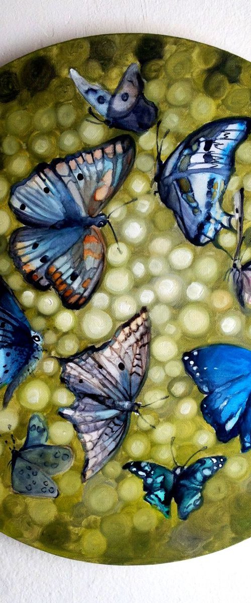 Butterflies studio by Valentina Toma' aka Zoe Chigi