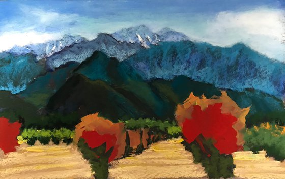 Pomegranates and Pyrenees