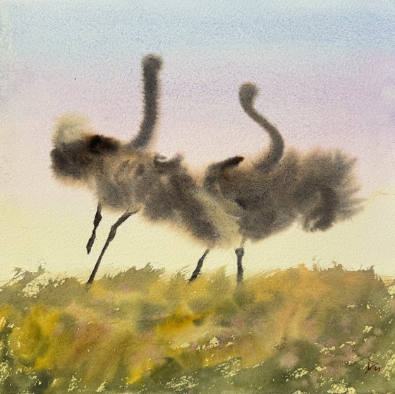 Dancing ostriches