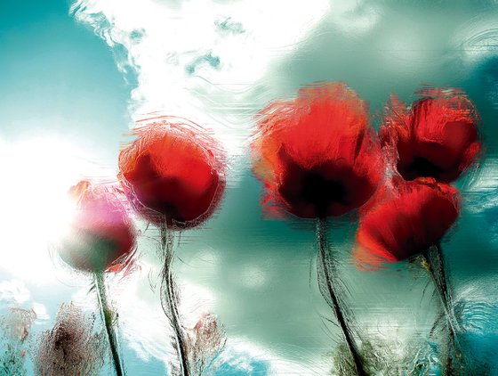 5 amapolas/XL large original artwork