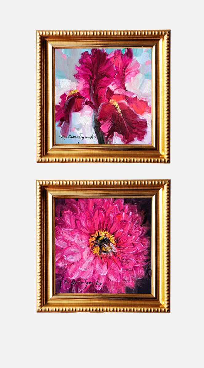 Iris Dahlia By Nataly Derevyanko, 5 X 5, Artwork For Sale On Artfinder
